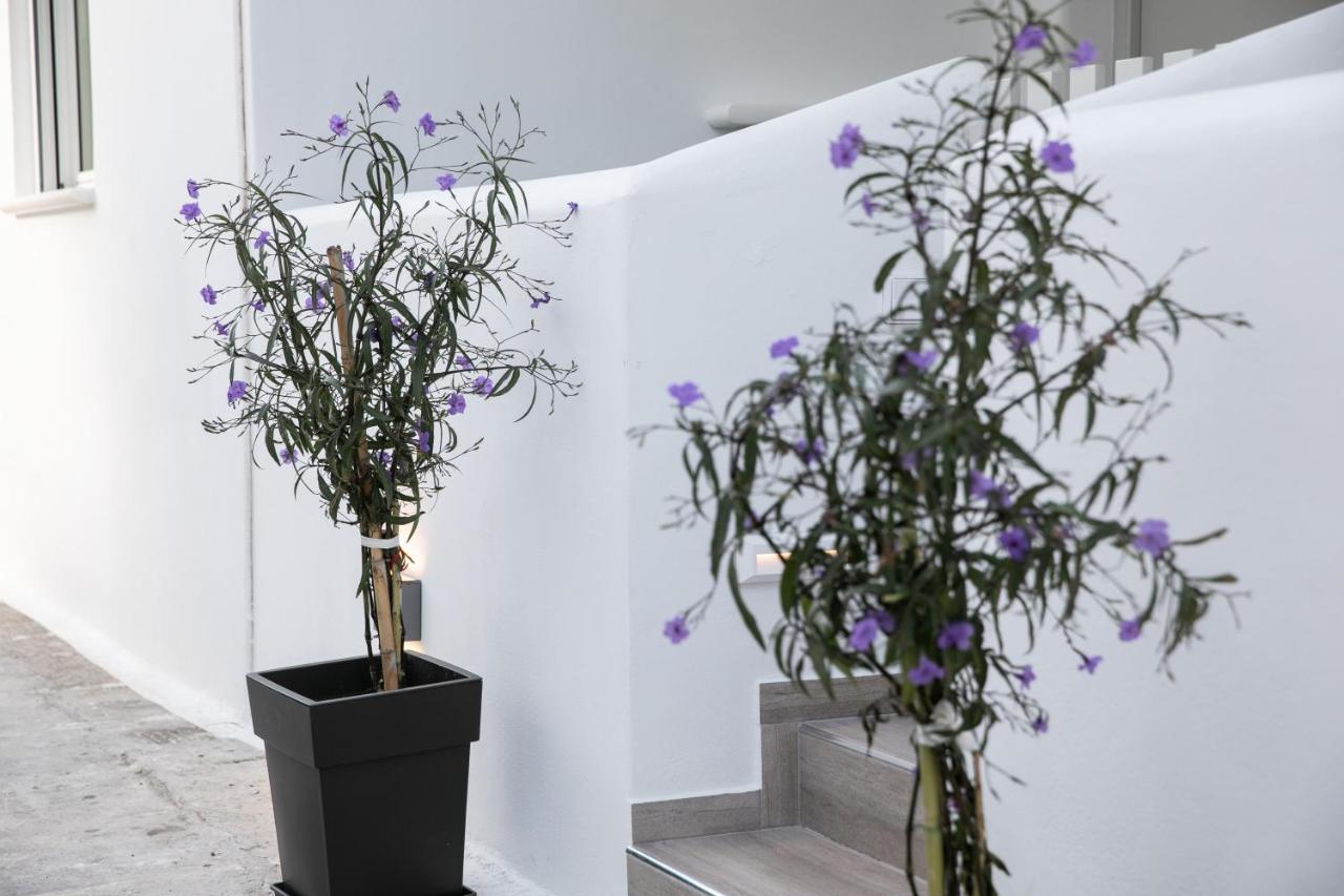 Anemela Studio Lux Naxos City Bagian luar foto